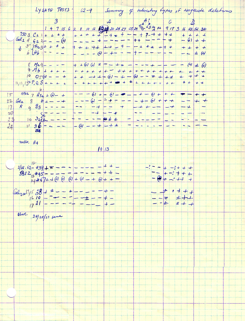 X092 Summary Lysate Tests exogenote deletions